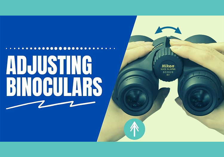 How to adjust binoculars with double vision?