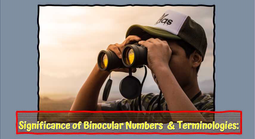 How to Choose Binoculars