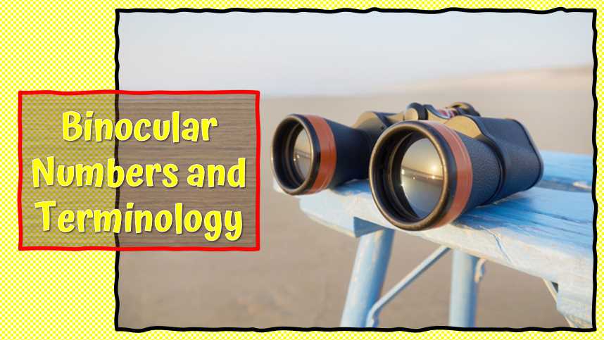 Binocular Numbers and Terminology
