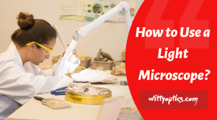 How to Use a Light Microscope: A Step By Step Guide For Beginners