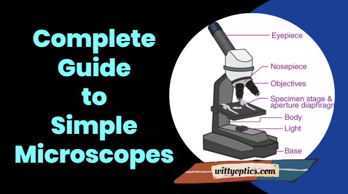 Complete Guide to Simple Microscopes