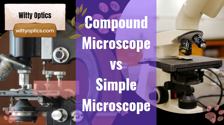 Compound Microscope vs Simple Microscope