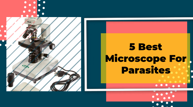 Best Microscope For Parasites