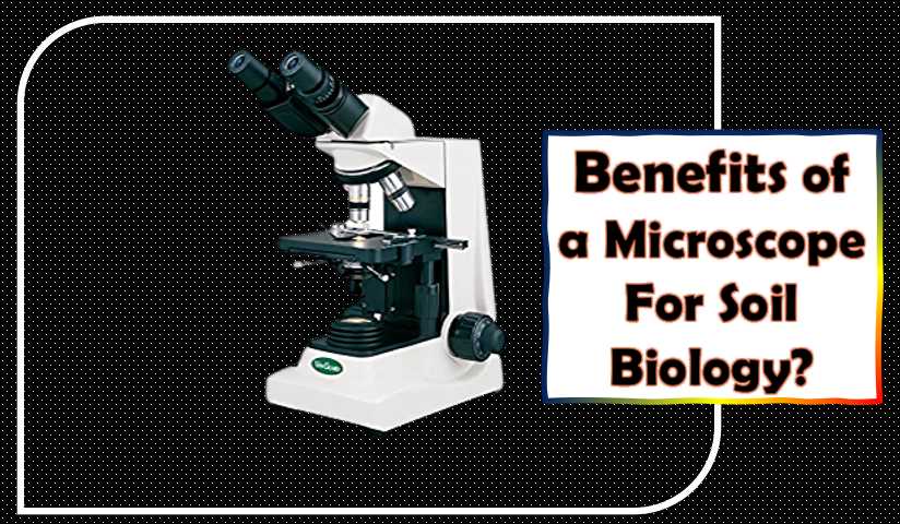 Benefits of a Microscope For Soil Biology