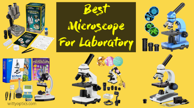 Best Microscope For Laboratory