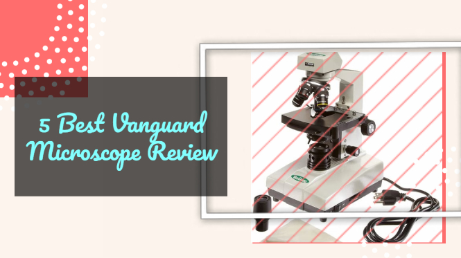 Best Vanguard Microscope Review