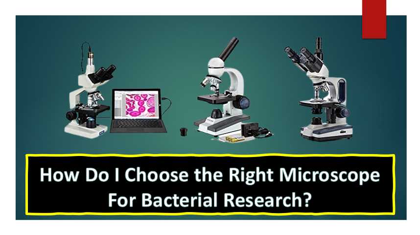How do I choose the right microscope for bacterial research