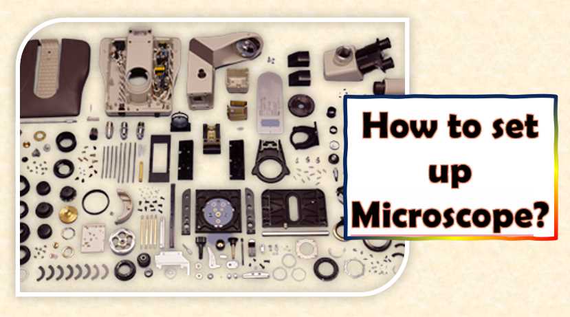 How to set up Microscope
