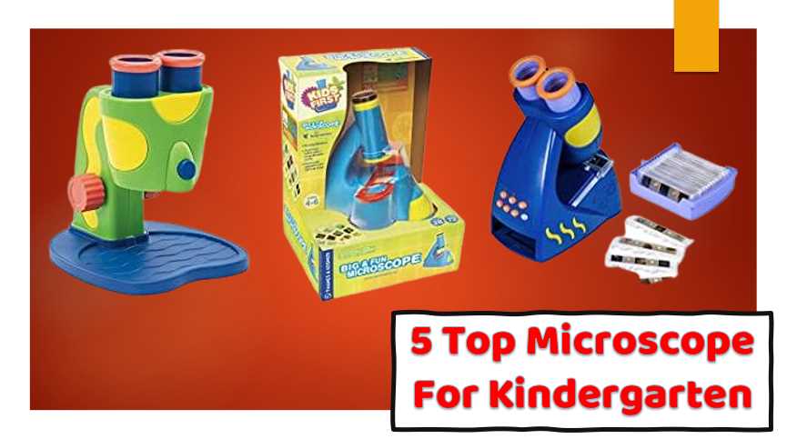 Kindergarten Microscopes