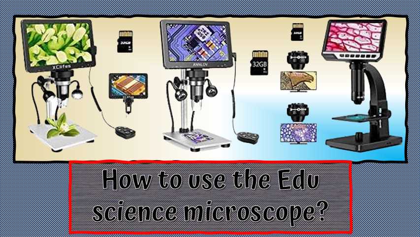 5 Most Commonly Used Microscopes