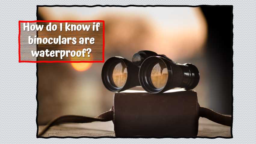 How do I know if binoculars are waterproof
