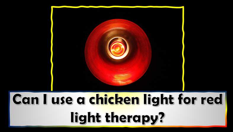 Can I use a chicken light for red light therapy