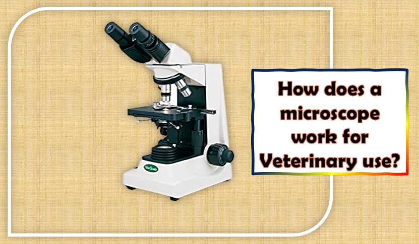 How does a microscope work for Veterinary use