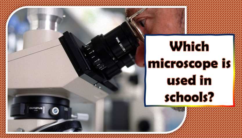 Which microscope is used in schools