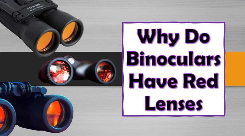 Why Do Binoculars Have Red Lenses