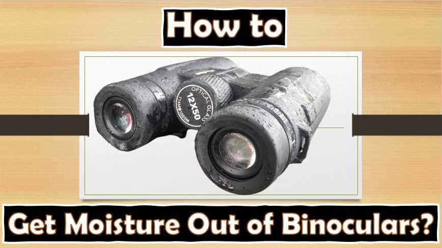 how to get Moisture out of binoculars