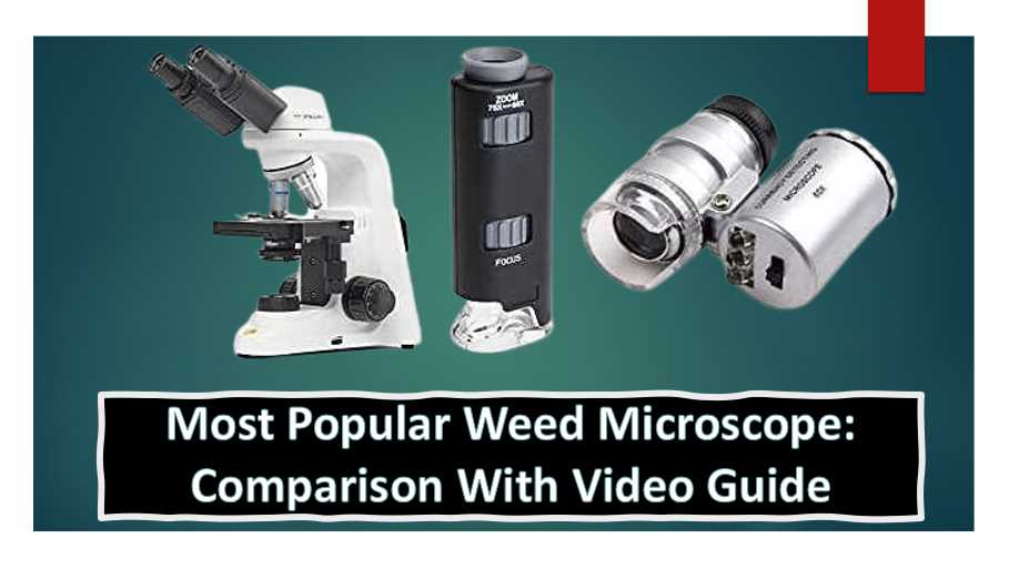 Best Weed Microscope