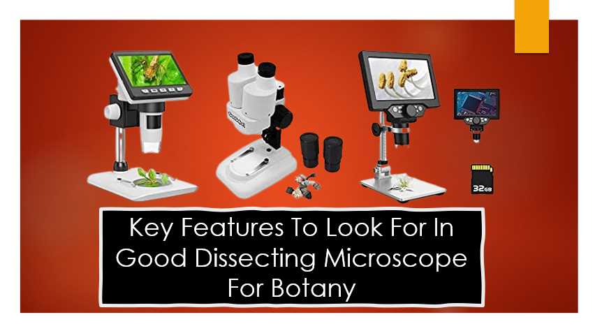 key features to look for in a good dissecting microscope for botany