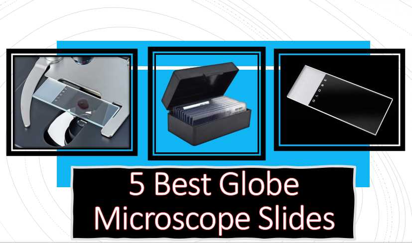 Globe Microscope Slides