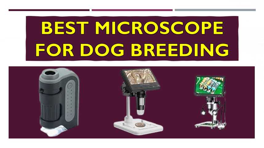 best microscope for dog breeding