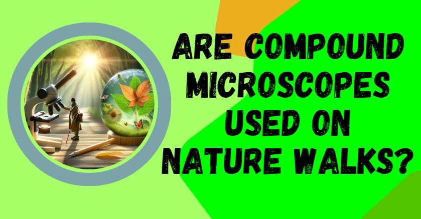 Are Compound Microscopes Used on Nature Walks