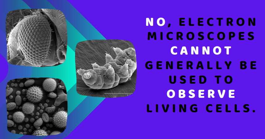No, electron microscopes cannot generally be used to observe living cells.