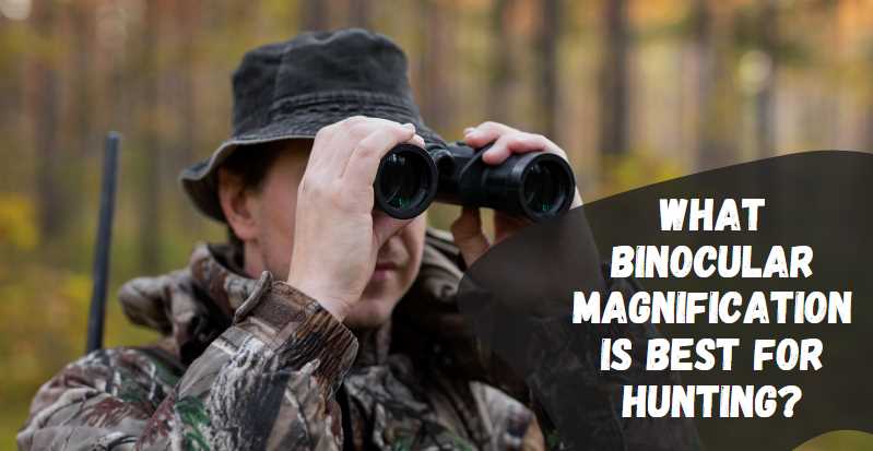 What binocular magnification is best for hunting