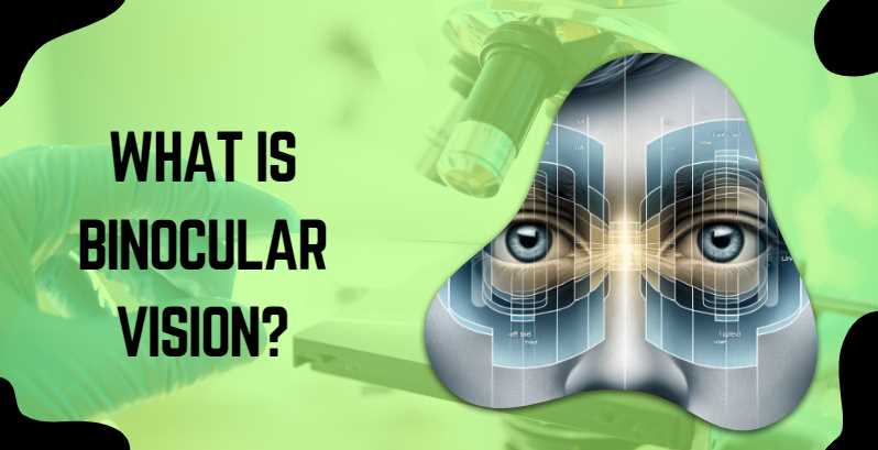 What is Binocular Vision