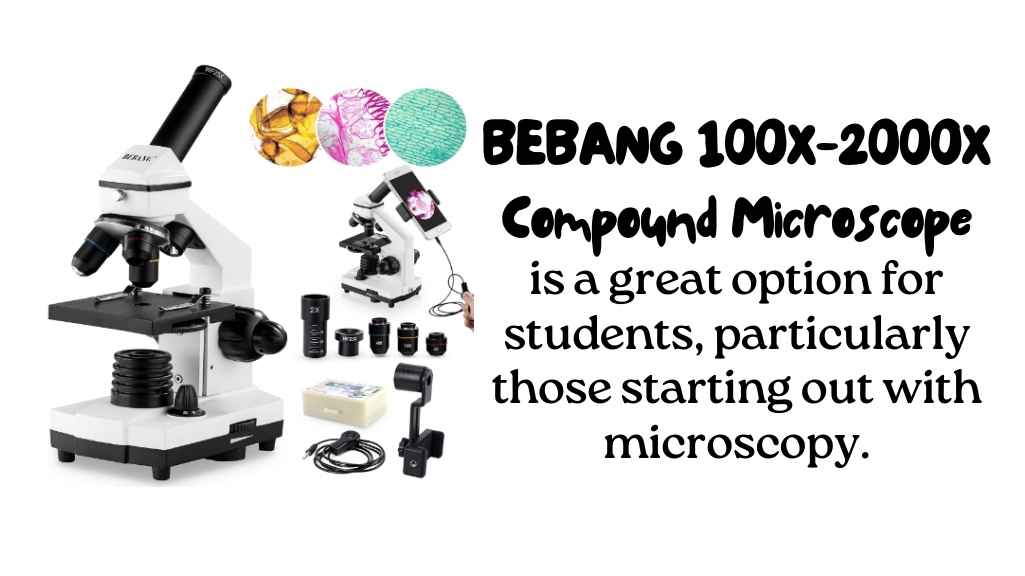 BEBANG 100X-2000X Compound Microscope (1)