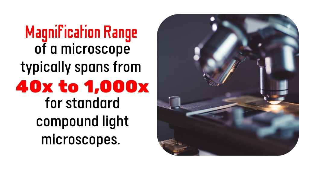 what is the range of magnification of the microscope